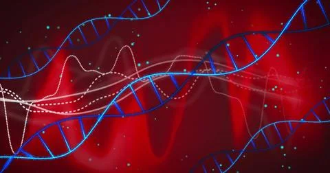 DNA strands and data waves, genetic research image over red background イラスト素材