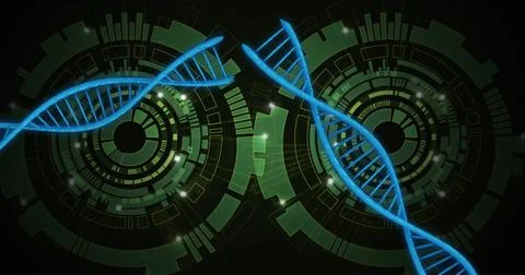 DNA strands and digital circuits, scientific data processing image Stock Illustration
