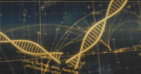 DNA strands and mathematical equations image over scientific grid background Illustrazione stock