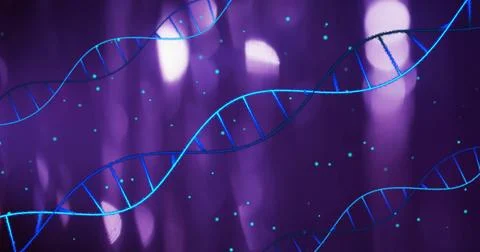 DNA strands and particles over purple background, scientific image Stock Illustration