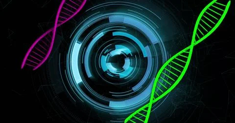 DNA strands and rotating digital interface, scientific data analysis image Illustrazione stock