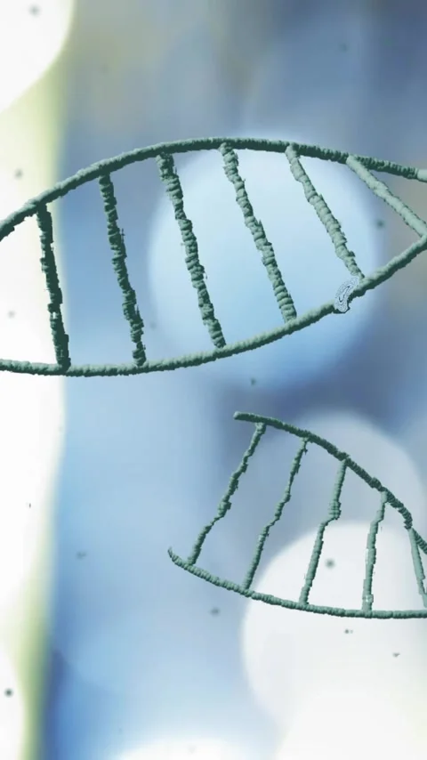 DNA strands animation over blurred lights background Stock Footage 342643554