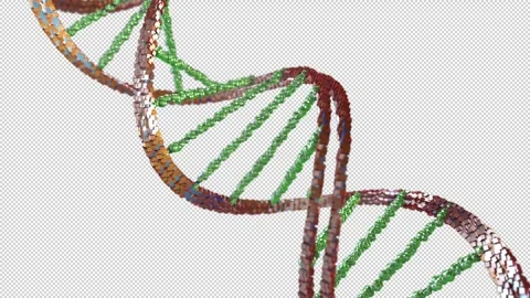 DNA strands assembled from individual element Stock Footage 241579362