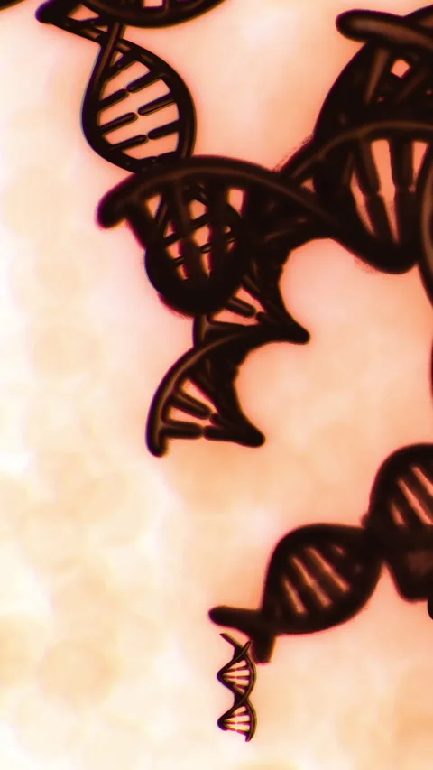 DNA strands in a dark shape above a light background during a close up view Stock Footage 334885399