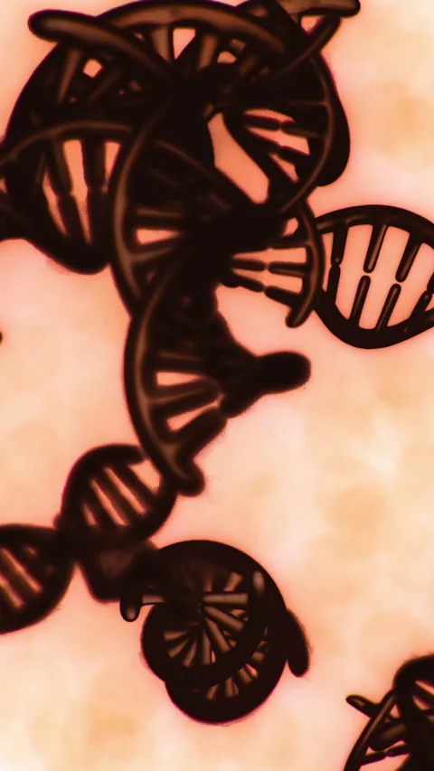 DNA strands in focus showing the structure and complexity of genetics 库存影片 336173232