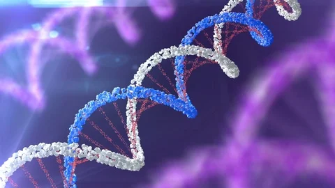 DNA strands Stock Footage 76233085