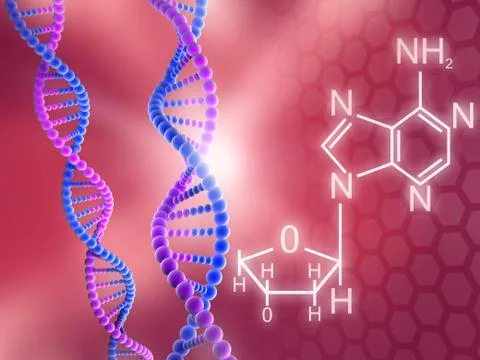 DNA Strands Stock Illustration