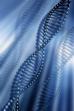 DNA strands Stock Illustration