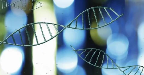 DNA strands image over blurred lights background Illustrazione stock