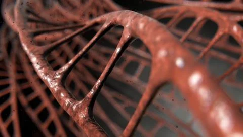 DNA Strands Micro Stock Photos
