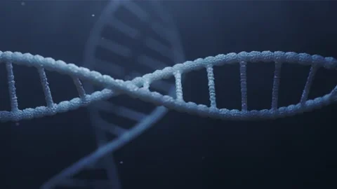 DNA strands moving in a smooth looping motion Stock Footage 233434189