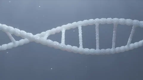 DNA strands moving in a smooth looping motion Stock Footage 233434193