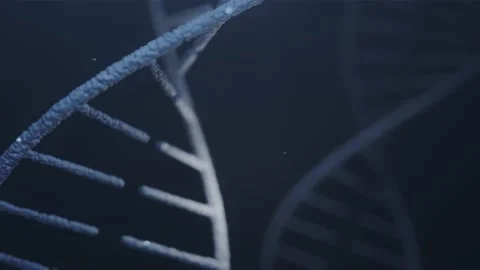 DNA strands moving in a smooth looping motion Stock Footage 233434238