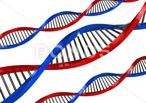 Dna strands over white background Stock Illustration