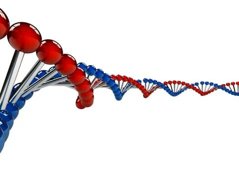 Dna strands over white background Stock Illustration