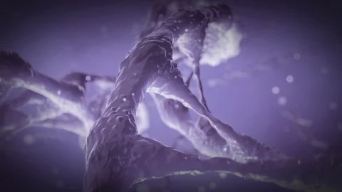 Dna Strands Purple Vidéo 115714348