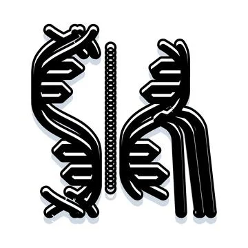 Dna strands replicating process in biology concept Stock Illustration