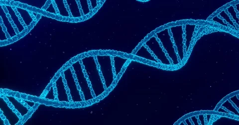 DNA strands rotating loop animation Stock Footage 256450116