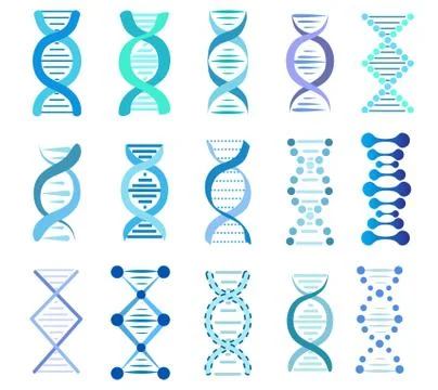 DNA Strands Set, stock vector illustration Stock Illustration