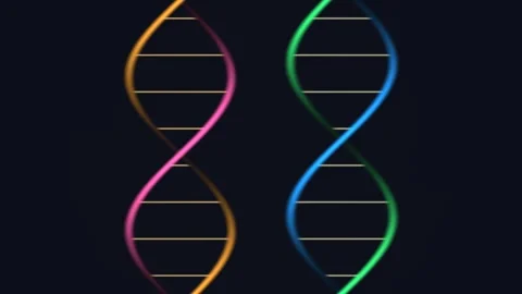 DNA strands twist on a dark background, showcasing bright Stock Footage 338277541