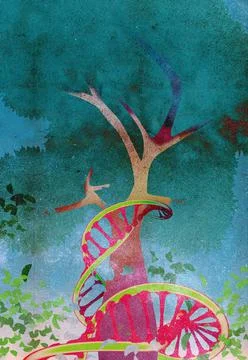 A DNA string and a tree depicting life, what is inherited. Stock Illustration