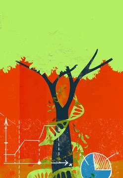 A  DNA string growing surronding a tree with linear and circular graphics Stock Illustration