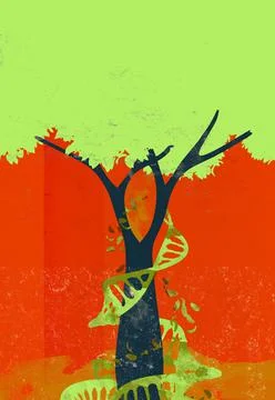 A  DNA string growing surronding a tree Stock Illustration