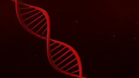 DNA structure on abstract red background 3d illustration 스톡 일러스트