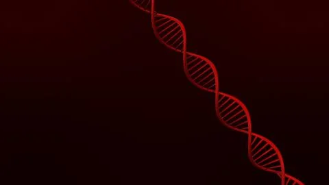 DNA structure on abstract red background 3d illustration 스톡 일러스트