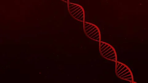 DNA structure on abstract red background 3d illustration イラスト素材