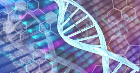 Dna structure and chemical structures against stock market data processing 스톡 일러스트