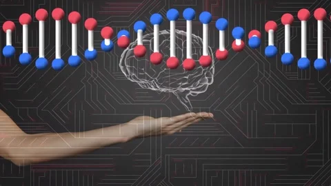 Dna structure and human brain over a hand against microprocessor connections on Stock Footage 196171341