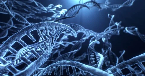 DNA structure biochemistry molecule on blue background. 4k video 動画素材 74897831