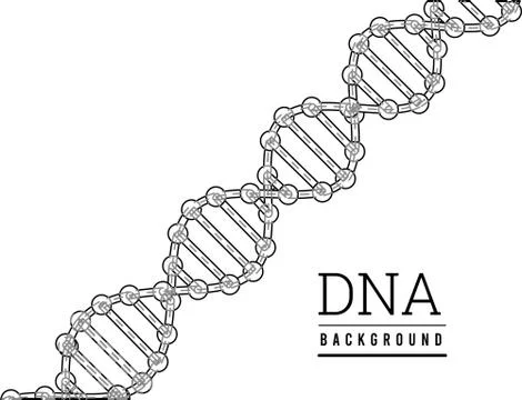 DNA structure. Deoxyribonucleic acid. Vector illustration on white 스톡 일러스트