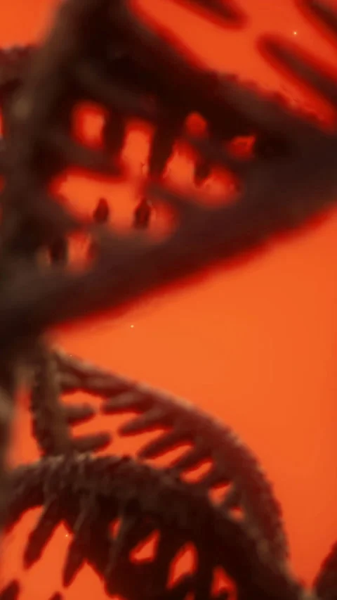 DNA structure exploration with vibrant colors in lab session Stock Footage 336170768