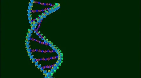 DNA structure Stock Footage 11324362