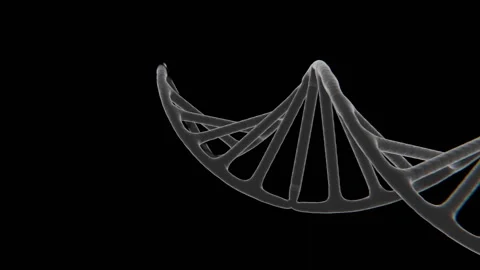 DNA structure formation Xray video | Dna helix structure formation video Stock Footage 340382097