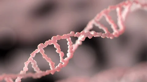 DNA Structure Genetic Material Stock Footage 103106888