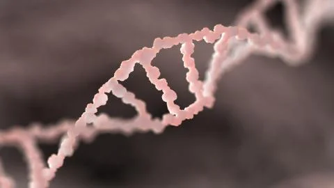 DNA Structure Genetic Material Stock Illustration