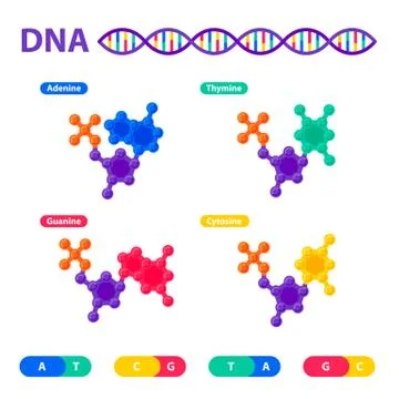 DNA structure, genome sequencing concept. Nanotechnology and biochemistry lab 스톡 일러스트
