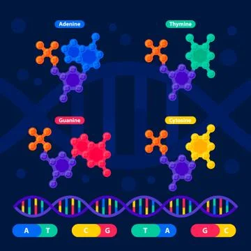DNA structure, genome sequencing concept. Nanotechnology and biochemistry lab イラスト素材