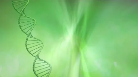 Dna structure on green blurry shiny background 스톡 동영상 147692780