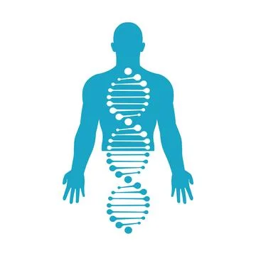 DNA structure in human body icon. Illustrazione stock
