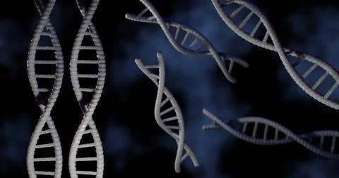 DNA structure of human for clone life bio technology gene. 3D rendering Stock Illustration