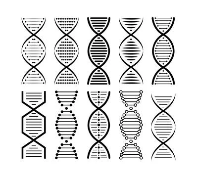 DNA structure Icon set. Structure molecule and cell, chromosome. Genetic Stockillustratie