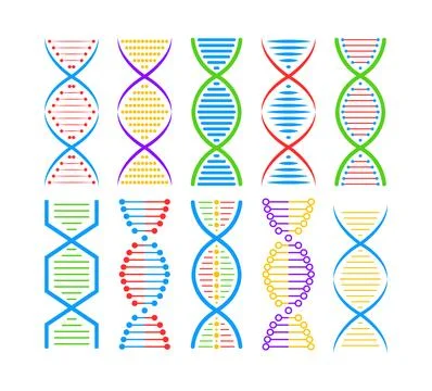 DNA structure Icon set. Structure molecule and cell, chromosome. Genetic Stockillustratie