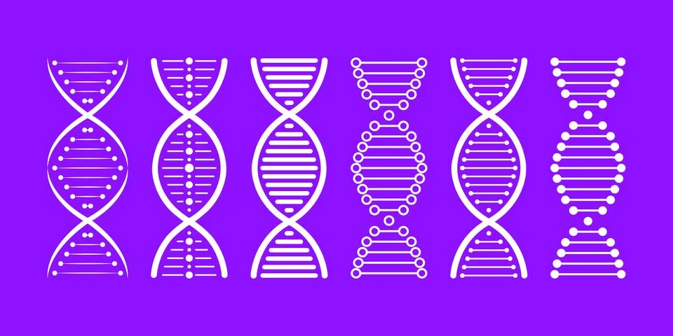 DNA structure Icon set. Structure molecule and cell, chromosome. Genetic 스톡 일러스트