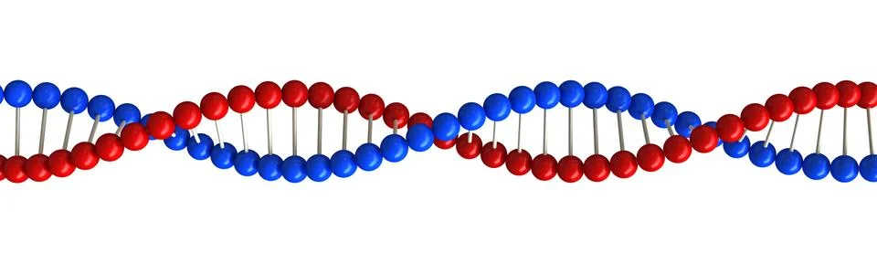 Dna structure Stock Illustration