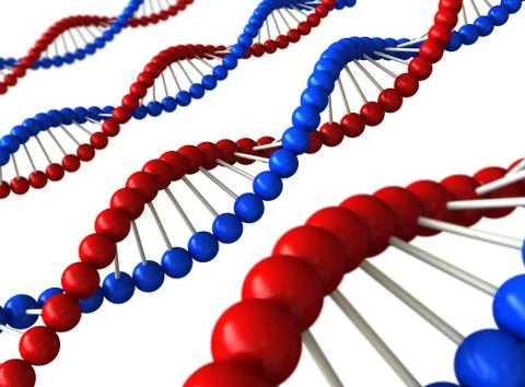 Dna structure Stock Illustration