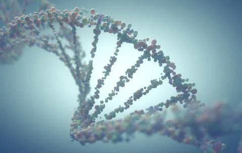 Dna Structure Stock Illustration